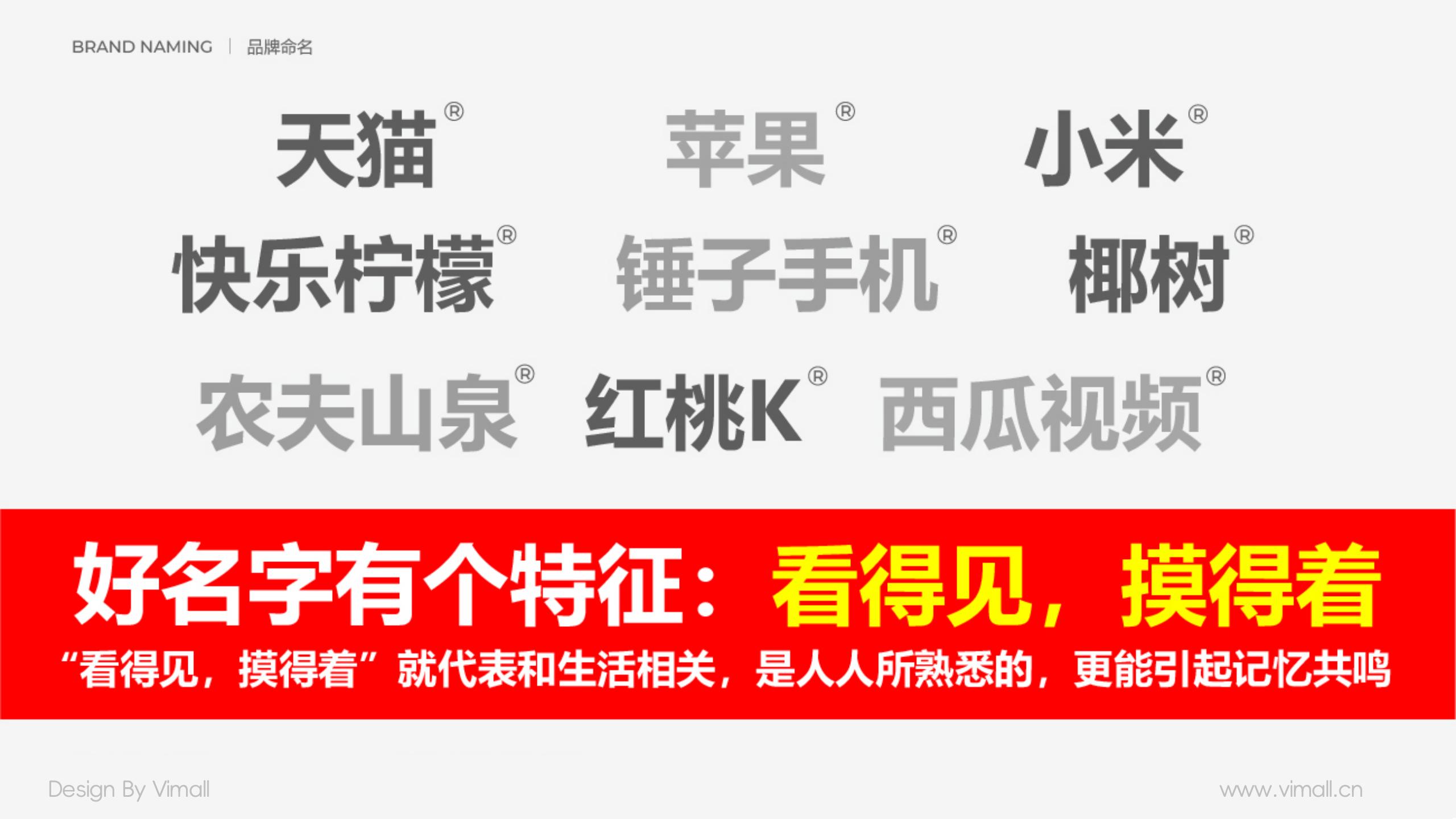 男士護(hù)膚品牌全案策劃設(shè)計(jì)-營(yíng)養(yǎng)品包裝設(shè)計(jì)-西柚公式
