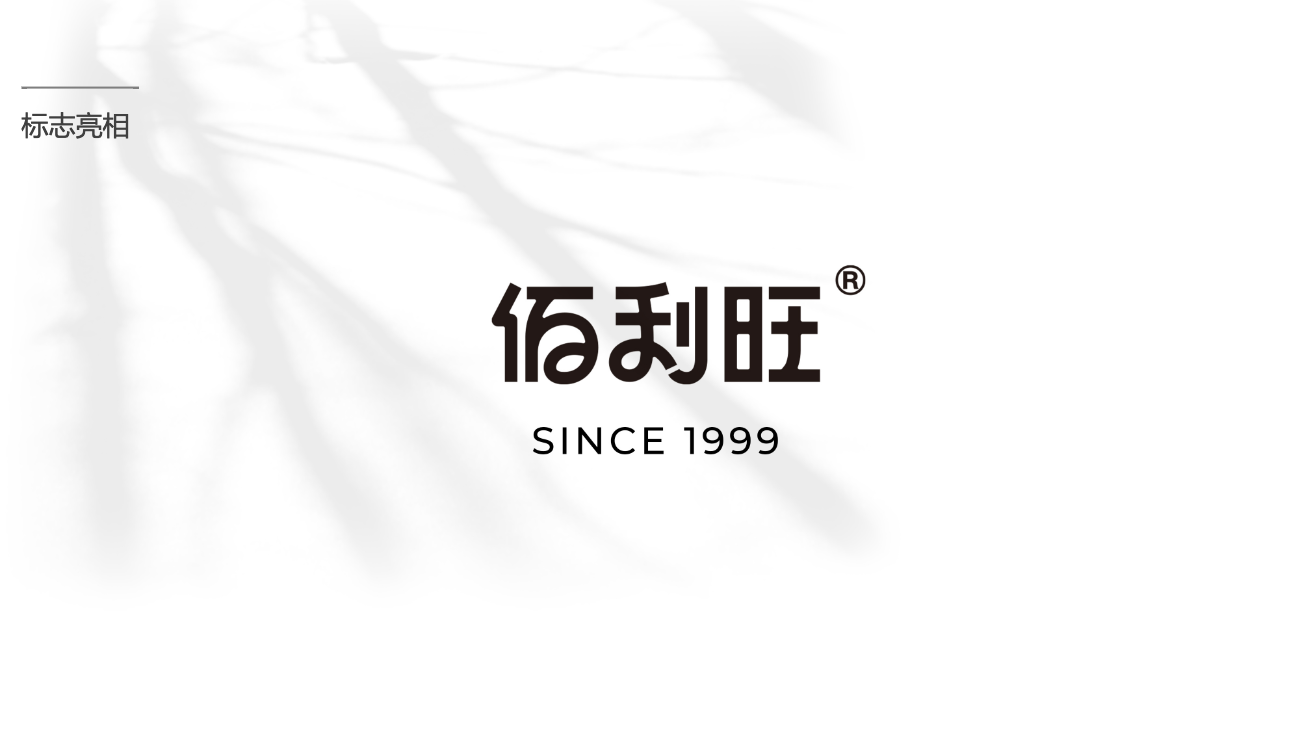 鹵味食品包裝設(shè)計(jì)-logo/vi設(shè)計(jì)-蘇州佰利旺